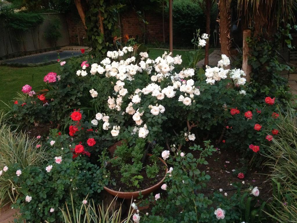 Anne'S Place Potchefstroom Eksteriør bilde